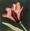 student image